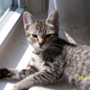 Meet your Posher, Sheila